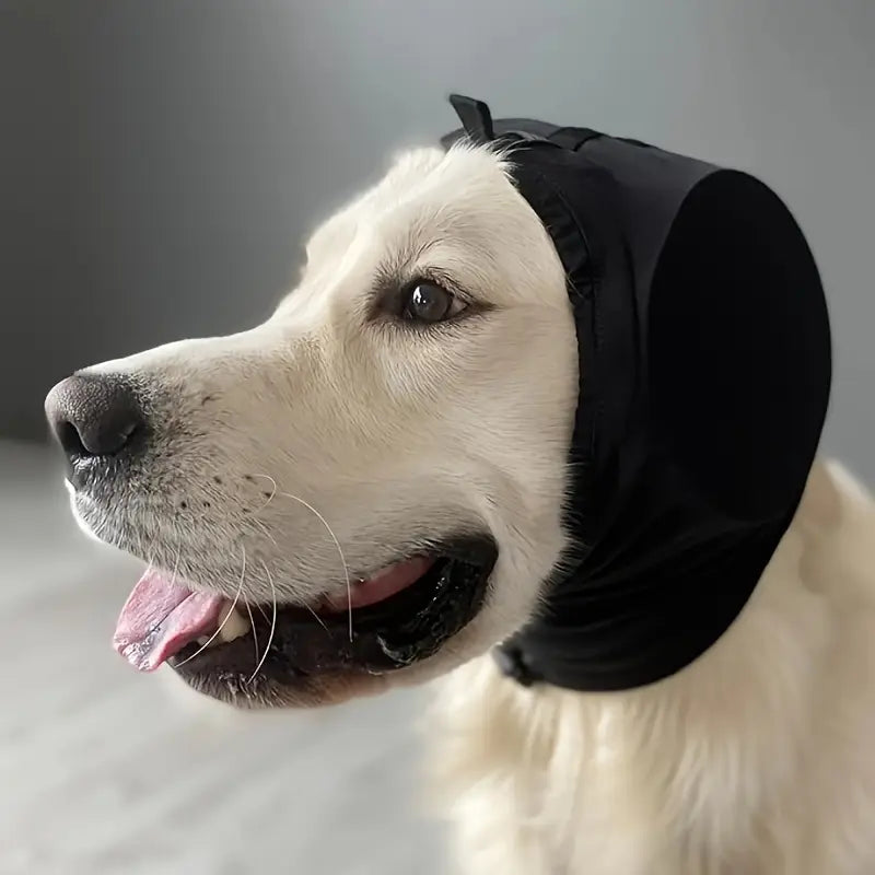 Dog hearing protection